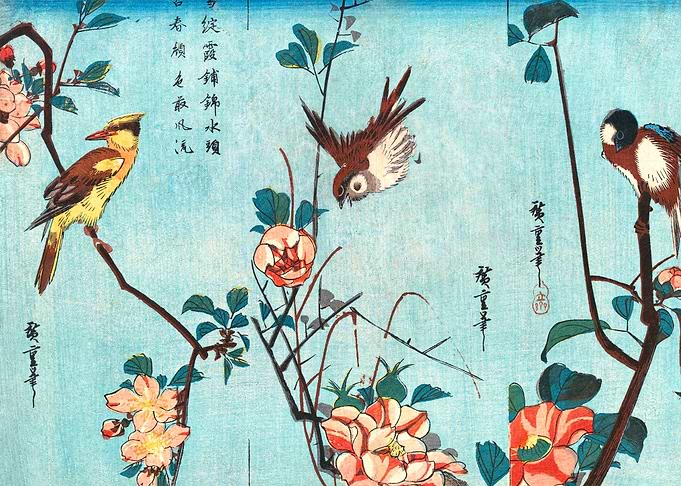 Birds and Camellia Bushes