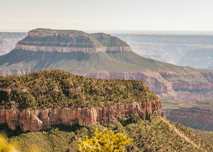 North Rim Grand Canyon I
