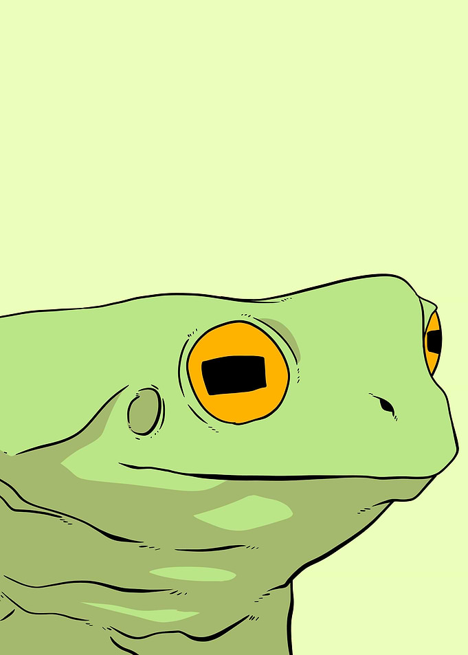 portrait frog