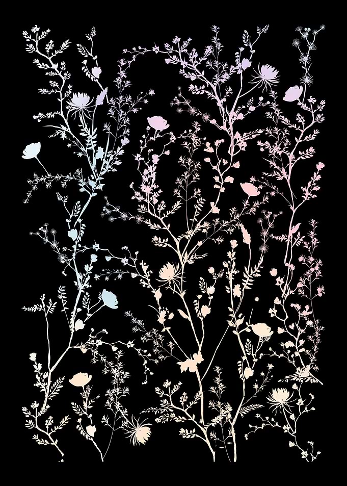 Flowers Women Floral
