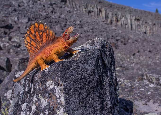 Dimetrodon Roar