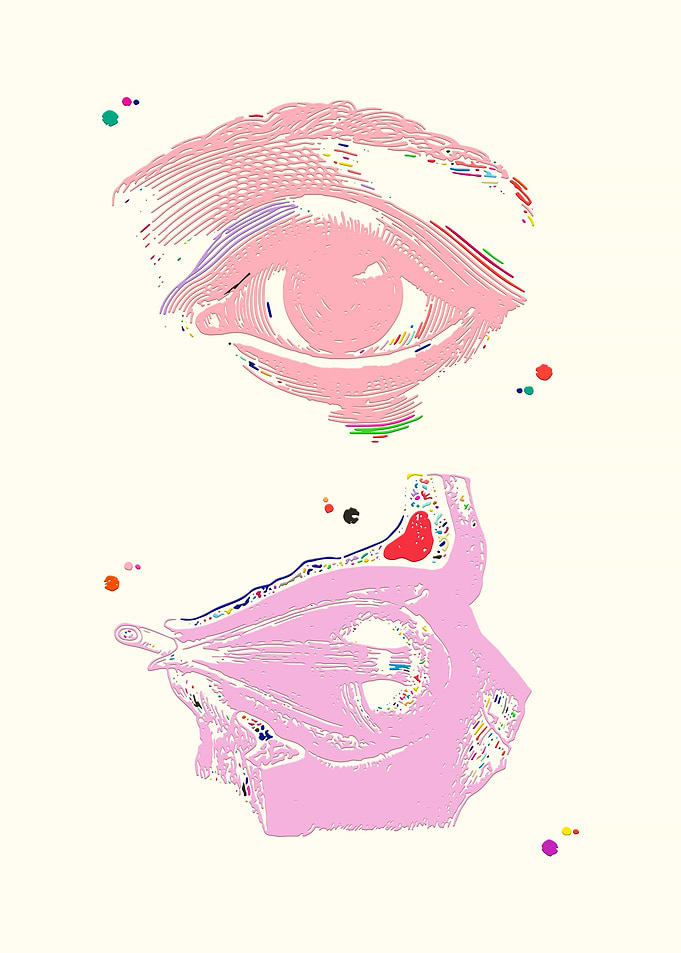 Eye anatomy