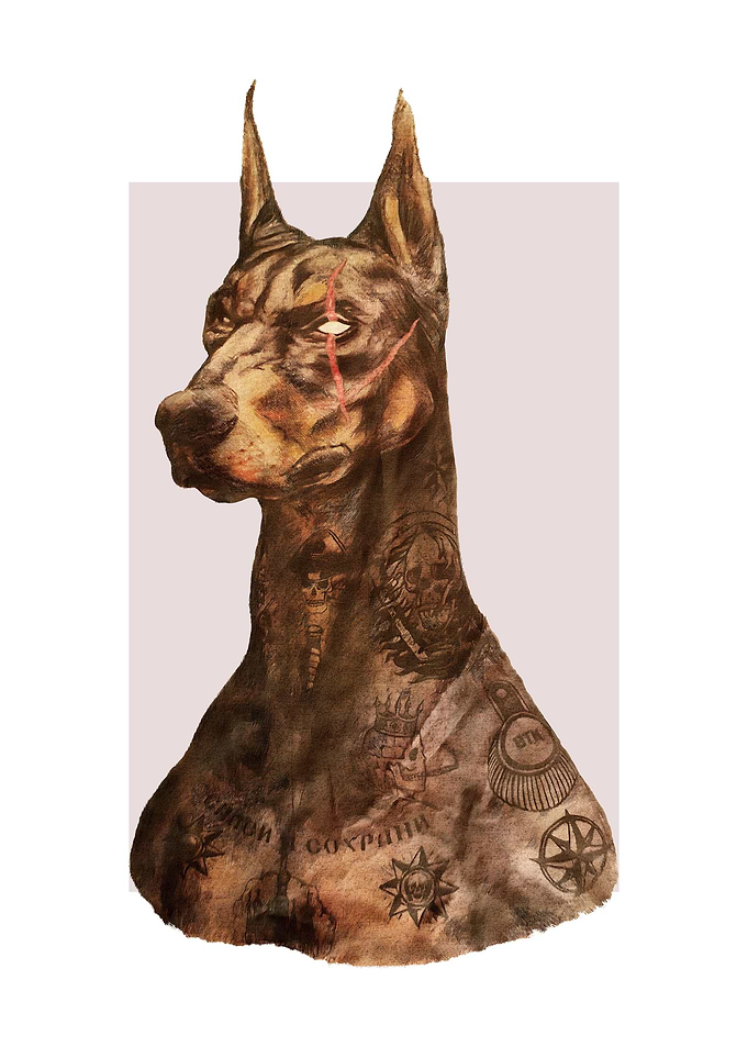 dobermann pinscher scar