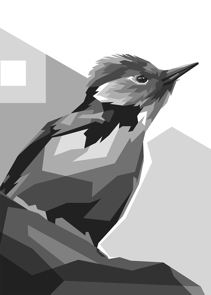 Starling Cute Gray