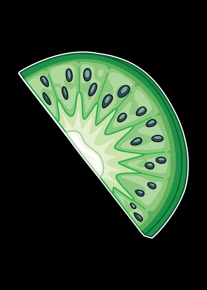 Kiwi Slice 02