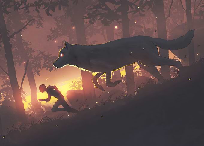 wolf