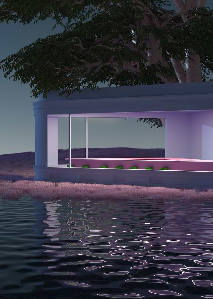 Pinkscape N23