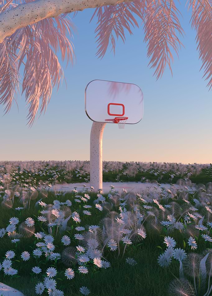 Pinkscape N21