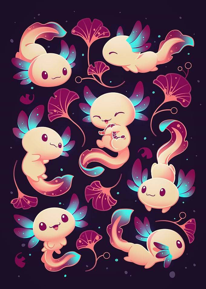 Axolotl Wonders