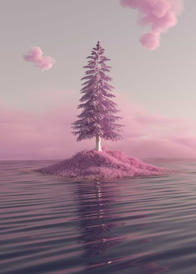 Pinkscape N18