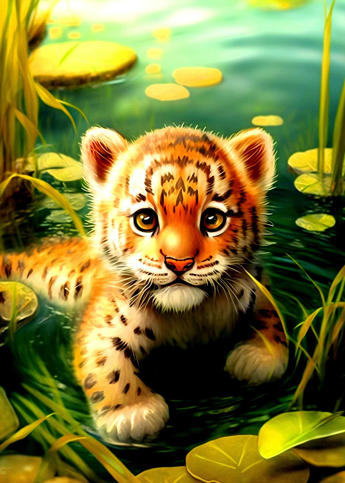 Cute Tiger