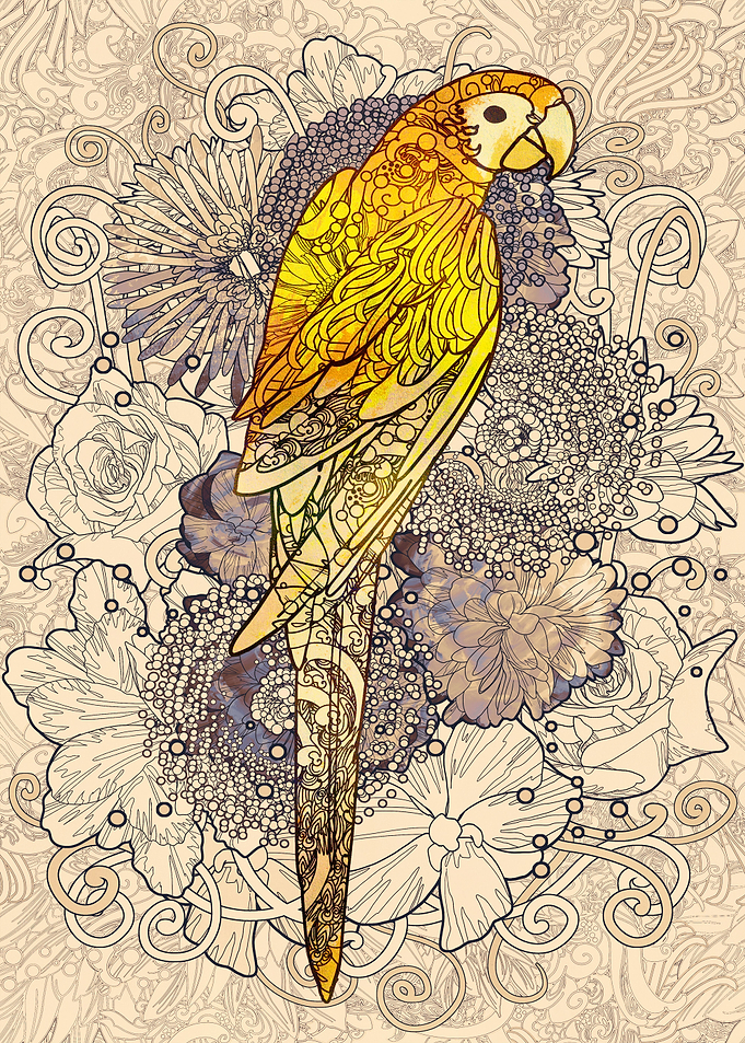 Parrot line art