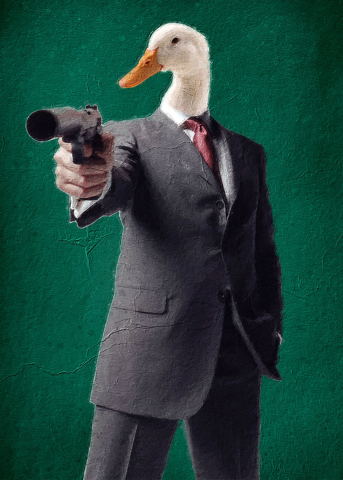 Duck meme
