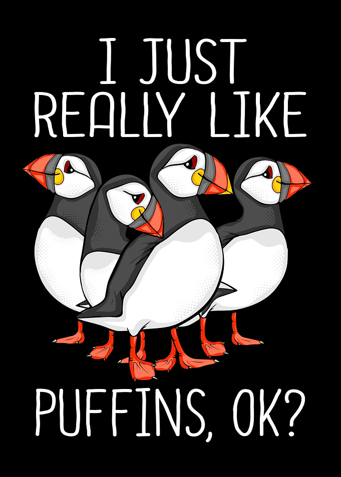 Atlantic Puffin Bird Lover