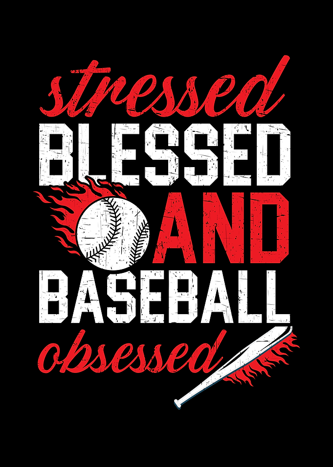 Baseball Lover