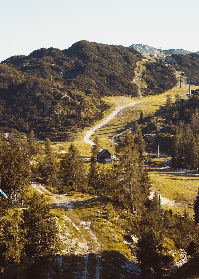 HILLS