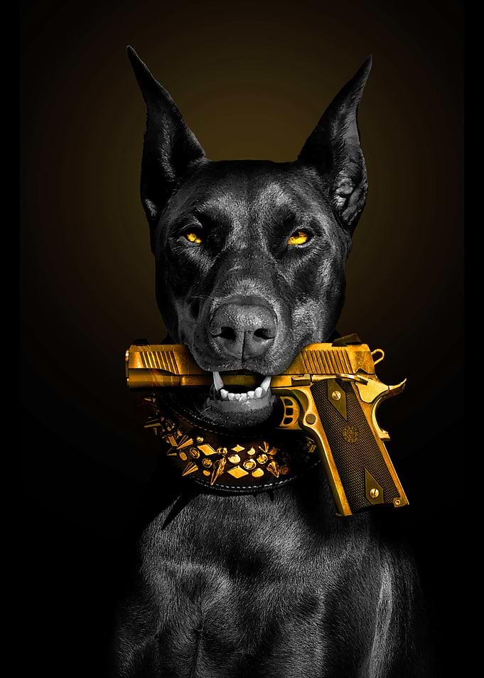 Dog with gold gun