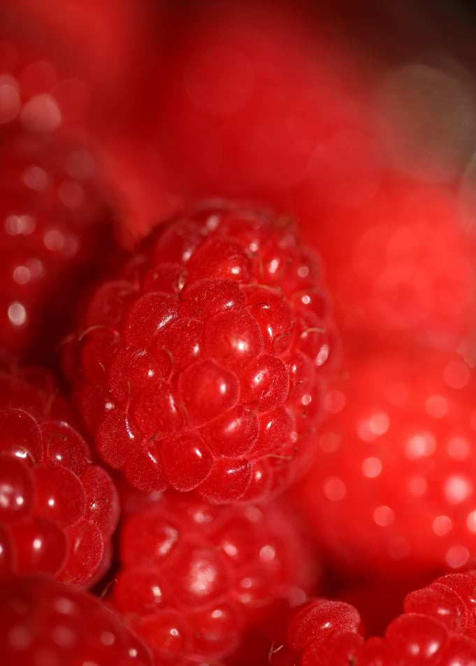 Fresh red berries close up