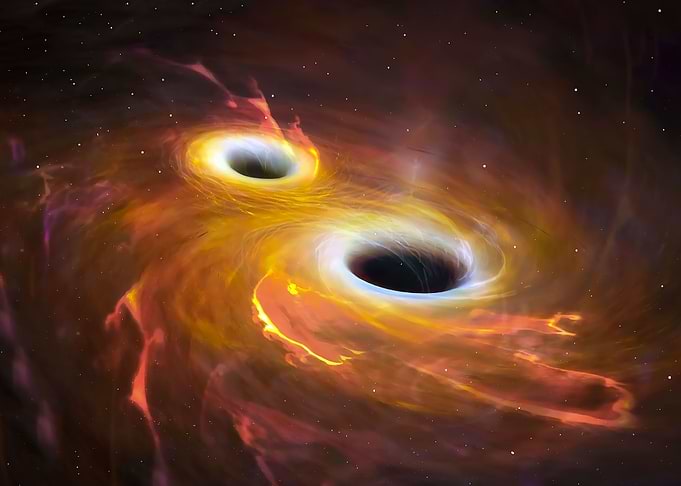 Black Hole Brothers Fight
