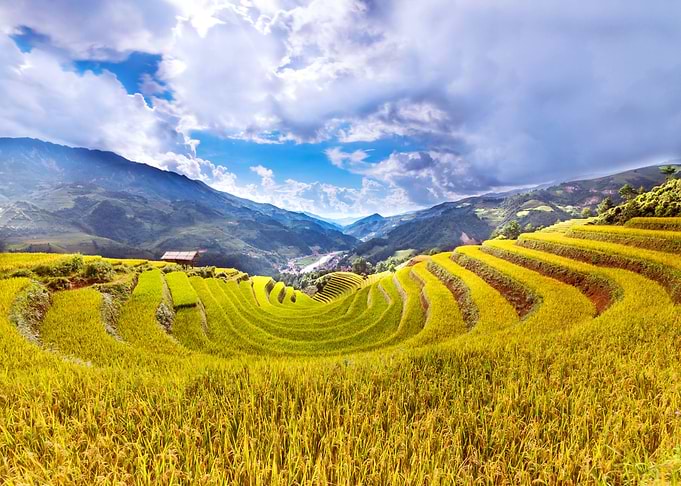 RICE HILL