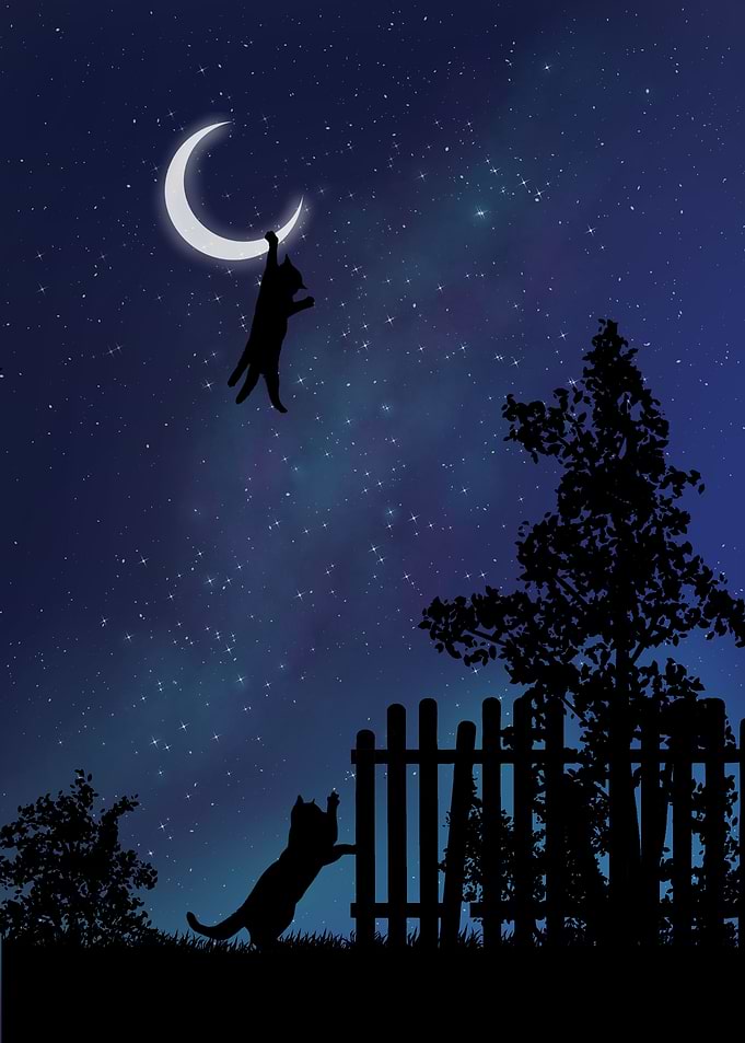 Nighttime troublemakers