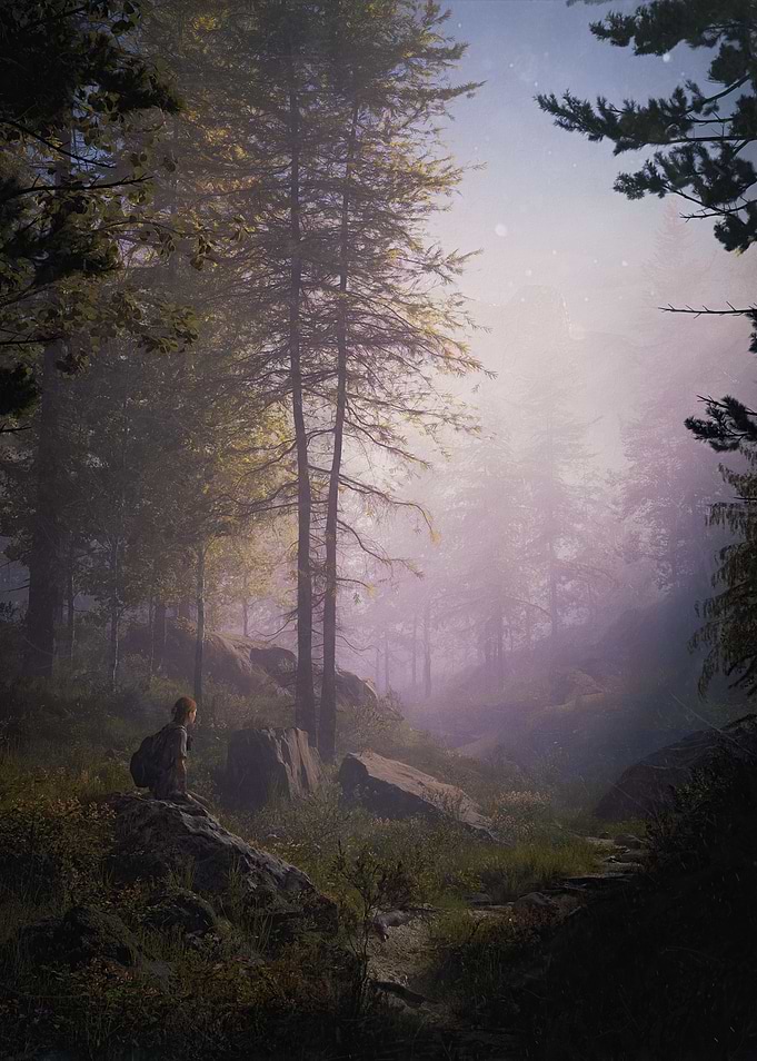 The Dawn