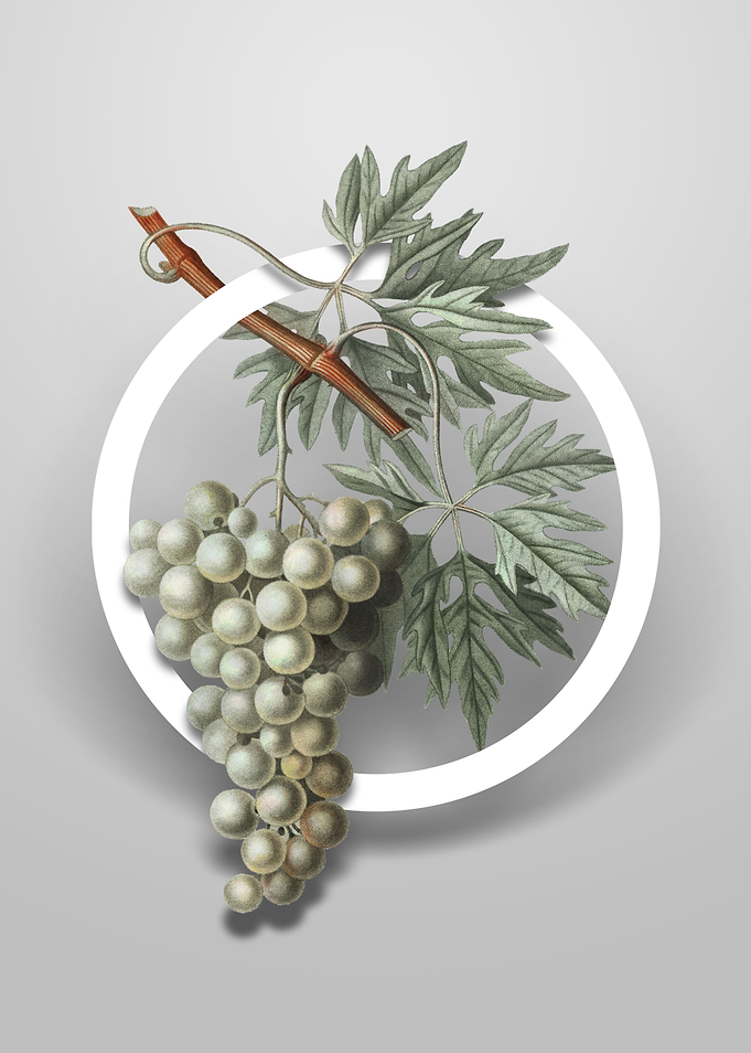 Vintage Grape Vine Flower