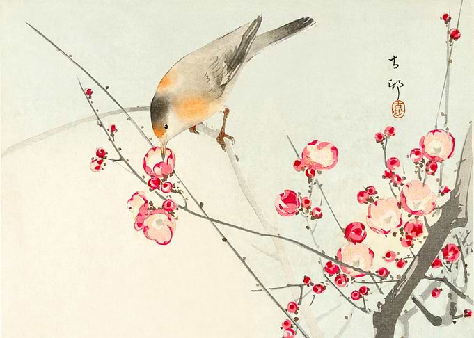 Songbird on blossom branch