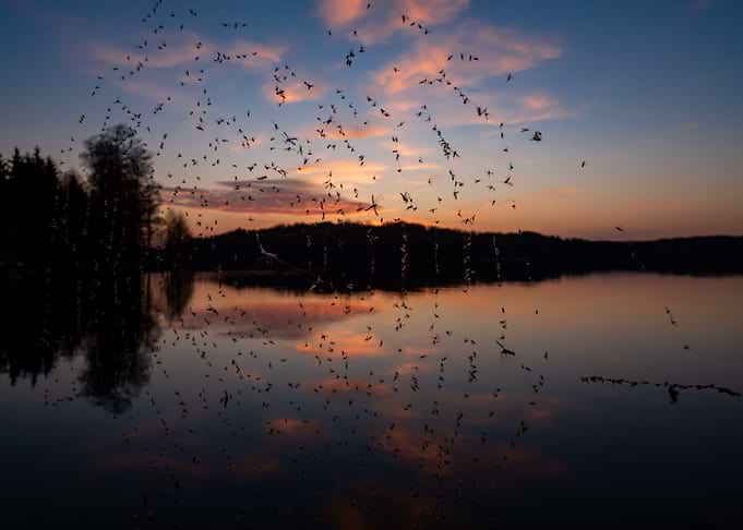 Landscape sunset