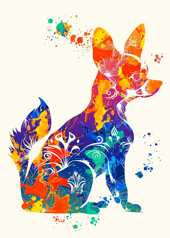 Chihuahua