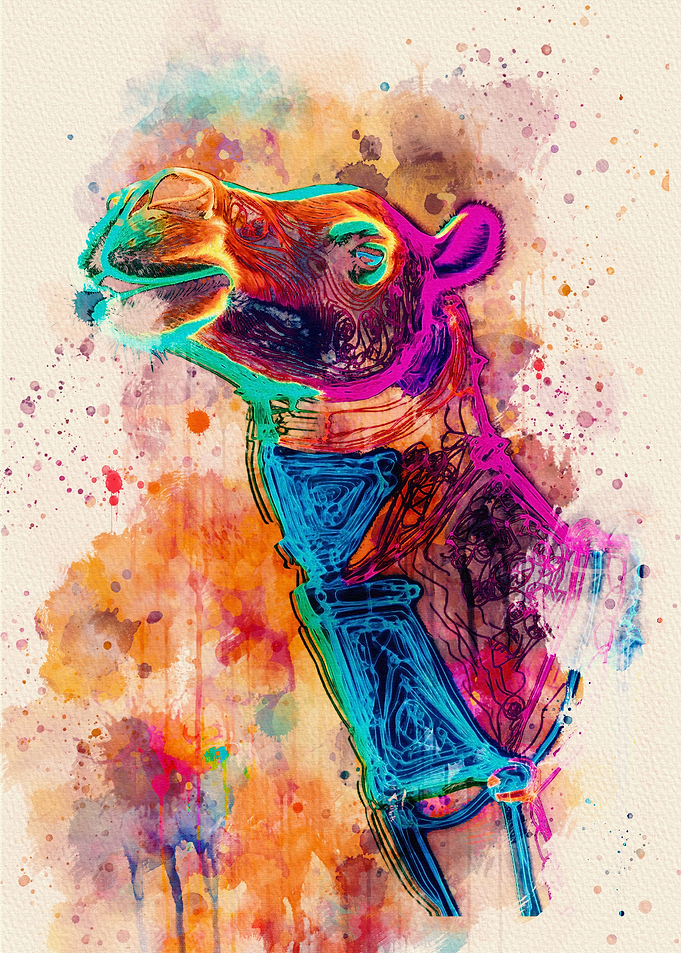 Camel colorful
