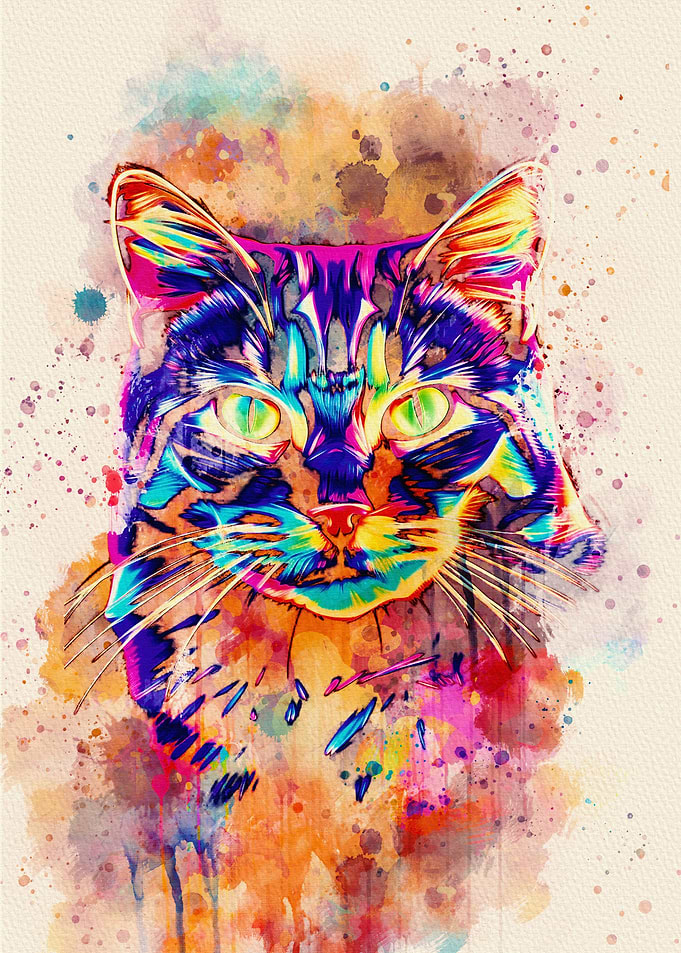 Cat Fullcolor