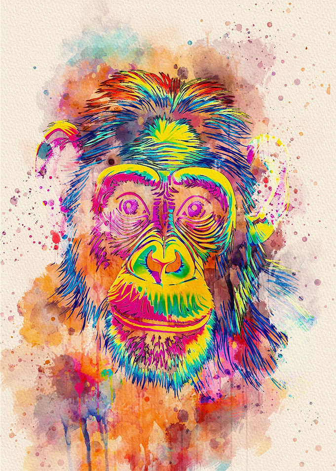 Chimpanzee colorful