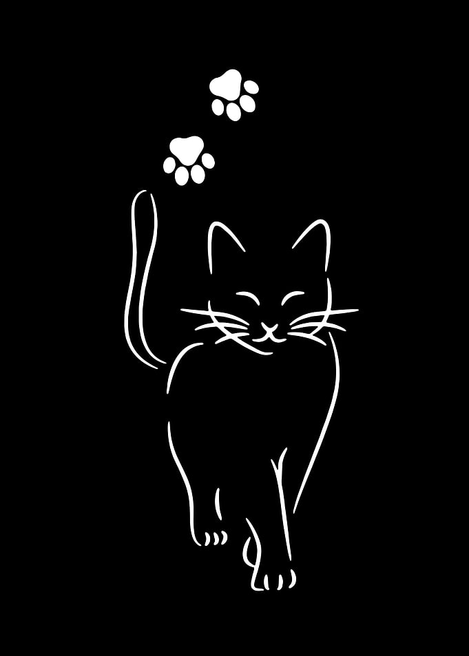 Cat love