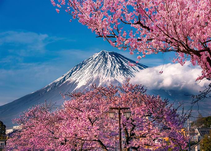 Mountain Fuji in spring