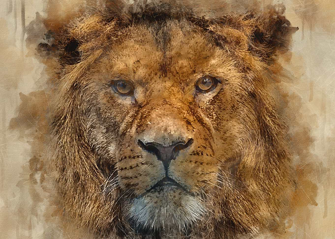 King Of The Jungle