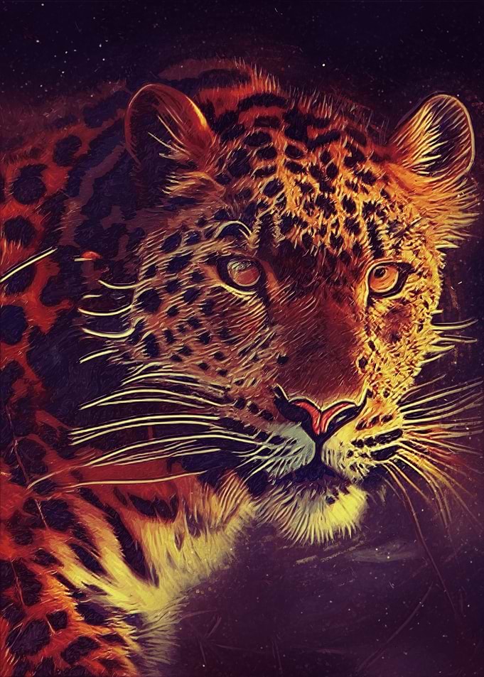 Cute Leopard 001