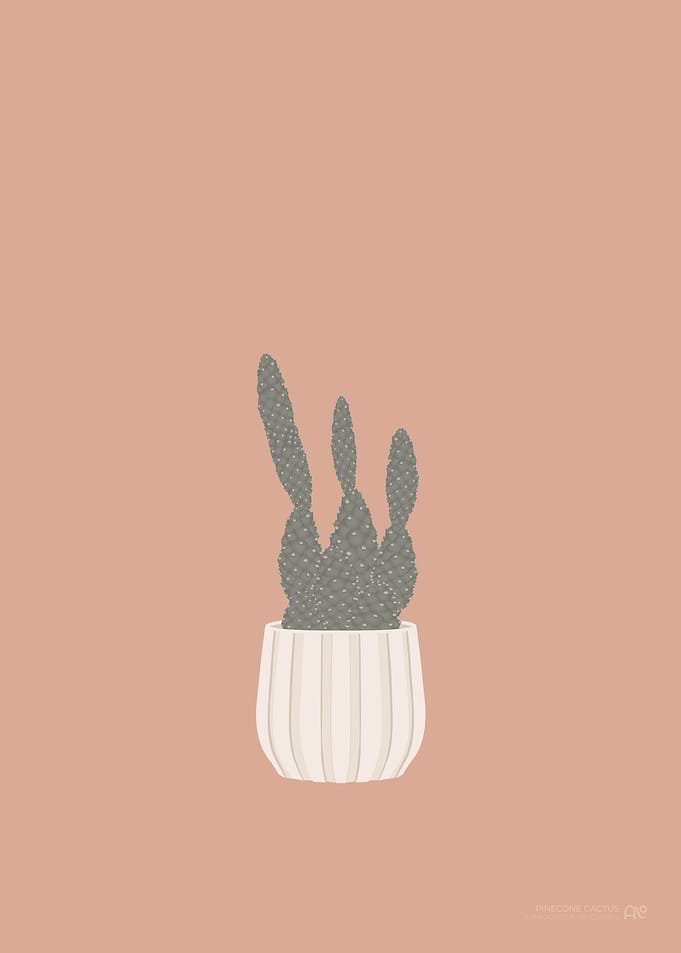 Pinecone Cactus