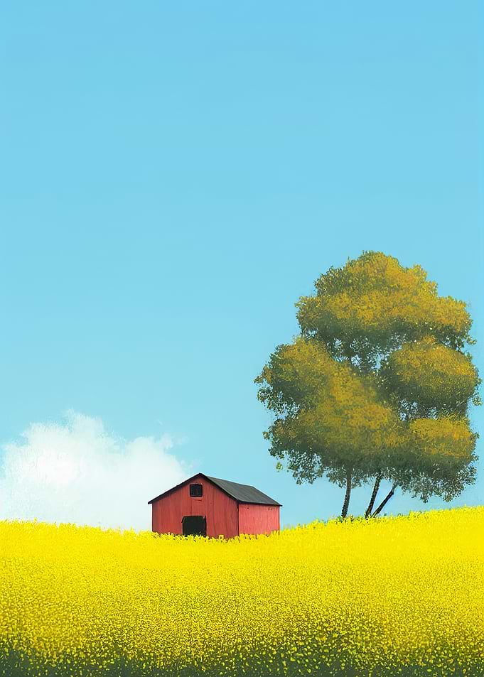 Yellow Flower Field