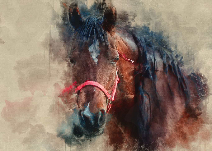 Dark Brown Horse