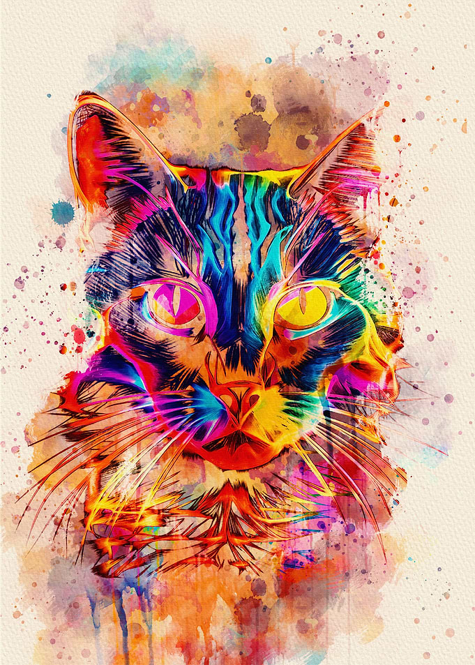 Cat Fullcolor