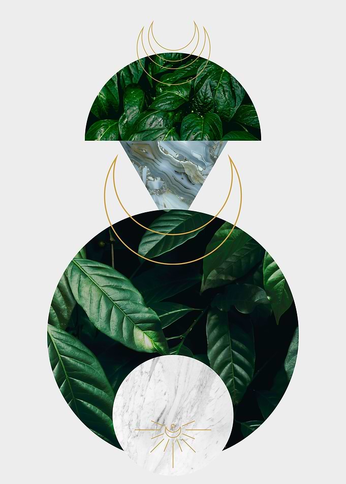 Circles leaves and marble