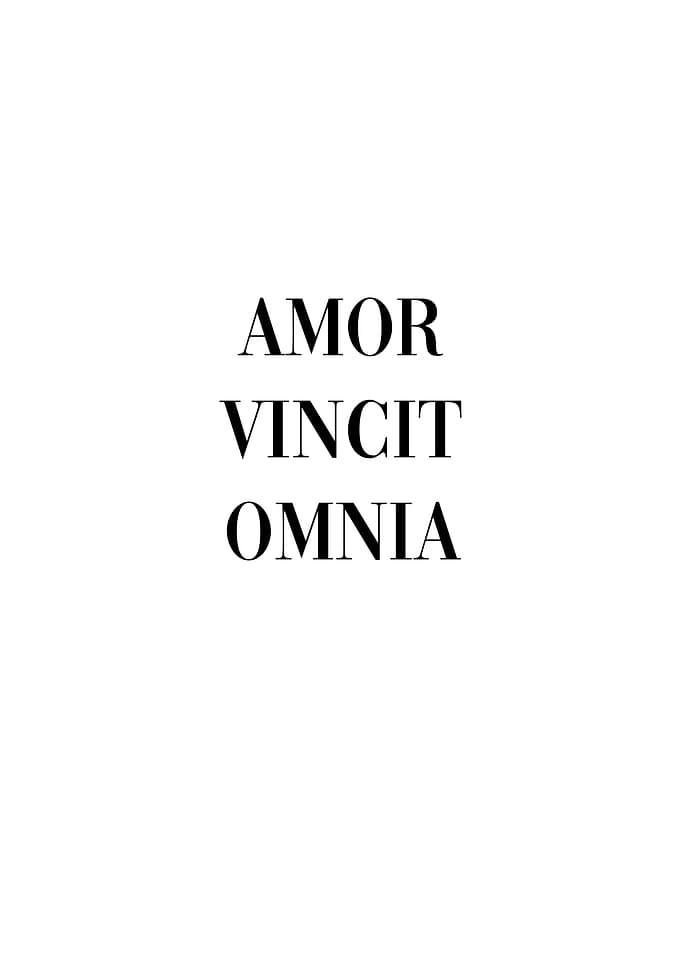 Latin Quote Love Conquers
