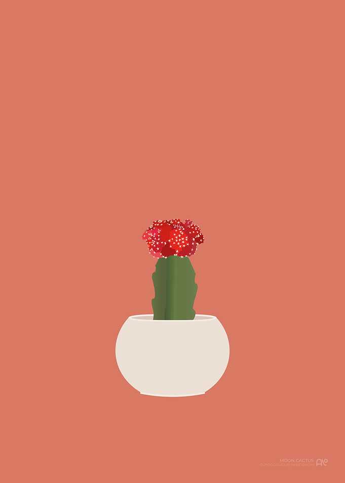 Moon Cactus Illustration