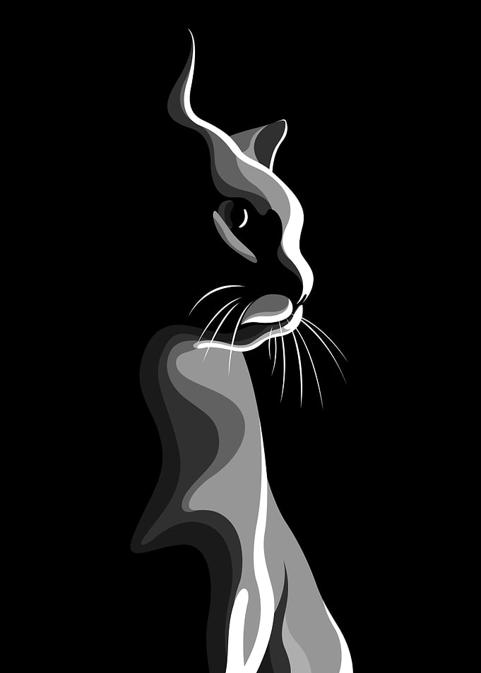 Cat Art Gray Minimal Cute