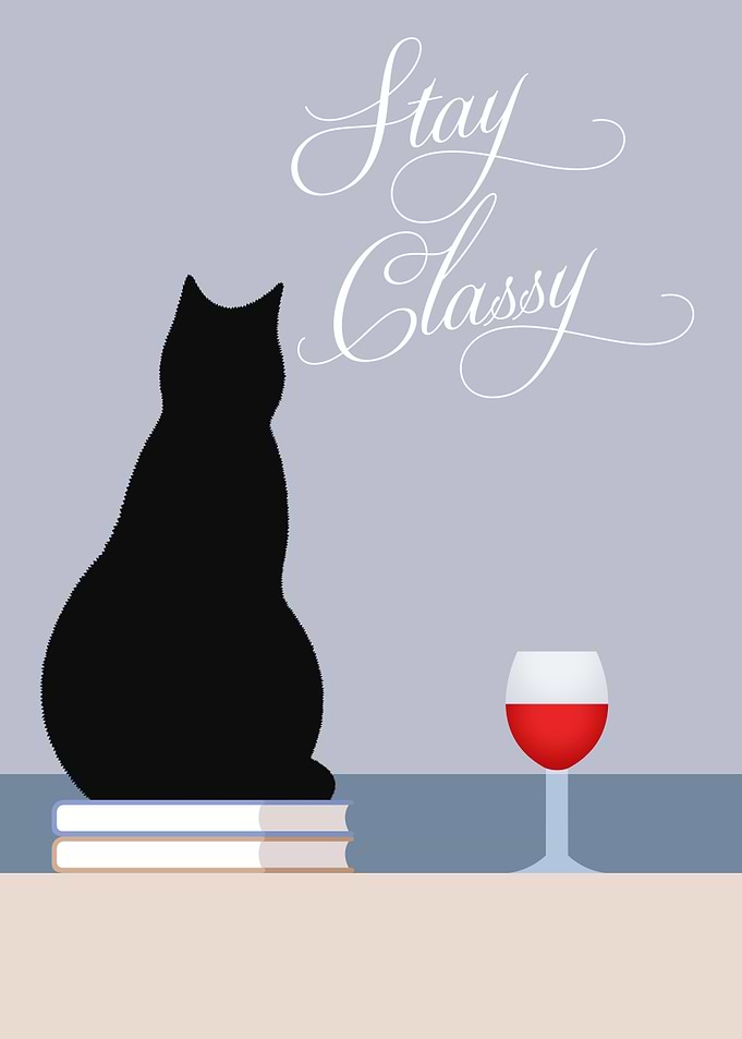 Cat Quote Art Poster Cute