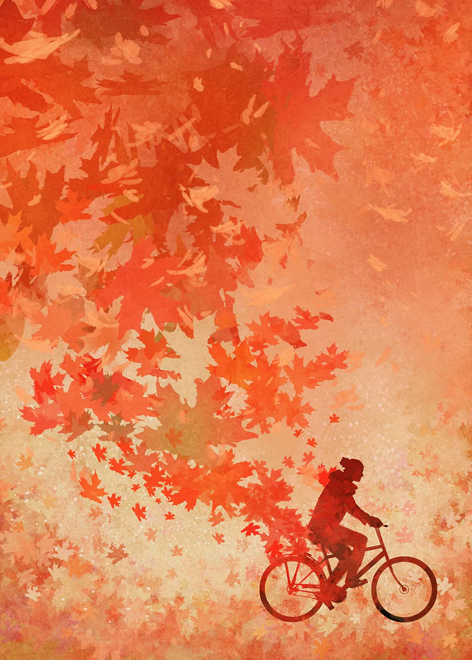 Silhouette bicycle