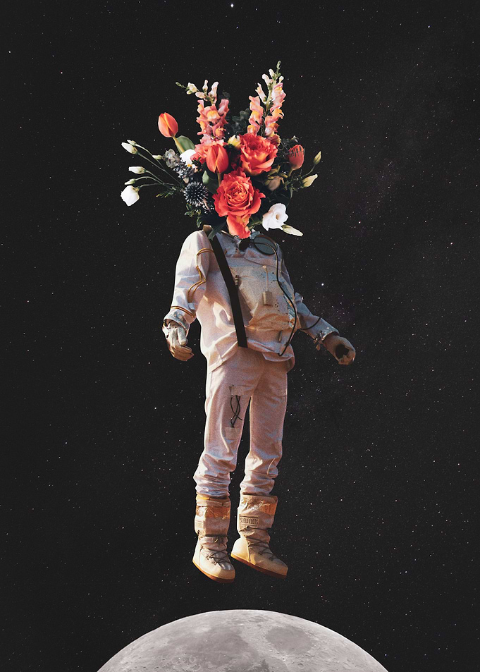 Bloom