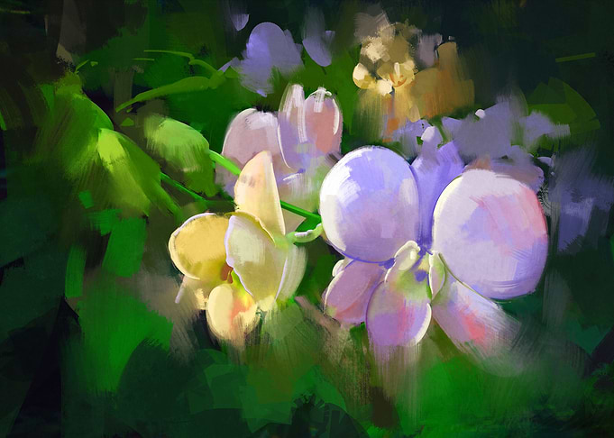 orchid flowers