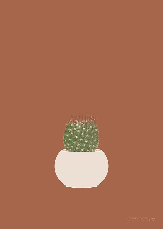 Hedgehog Cactus